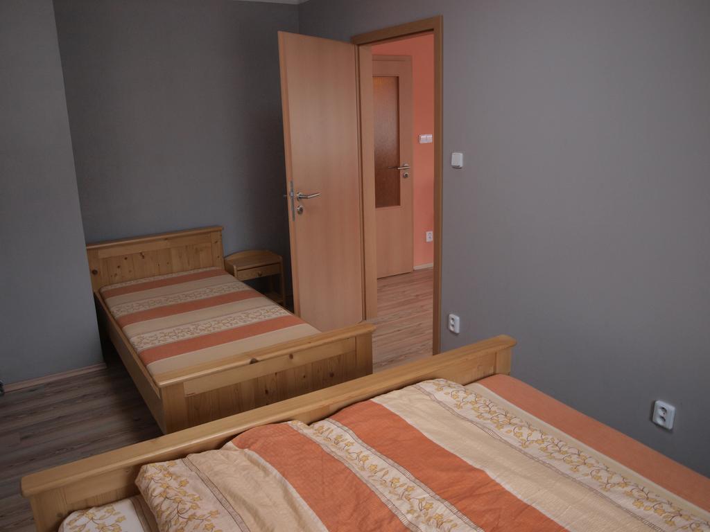 Kovářská Apartments Viktoria Klinovec מראה חיצוני תמונה